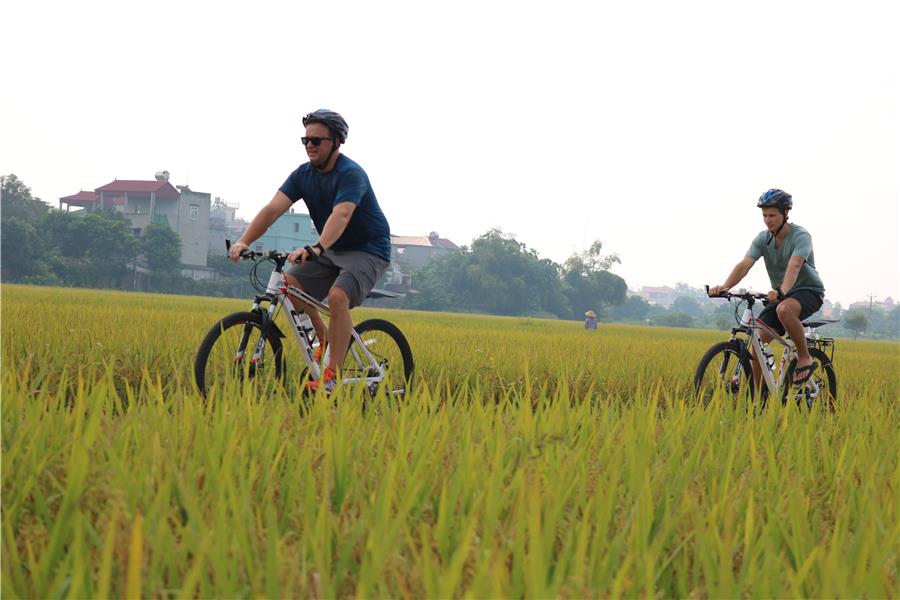 Hanoi Countryside Bicycle Trip Half Day